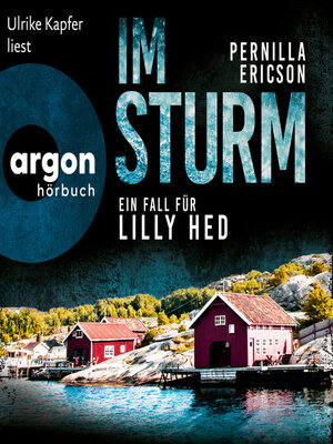 cover image of Im Sturm--Ein Fall für Lilly Hed